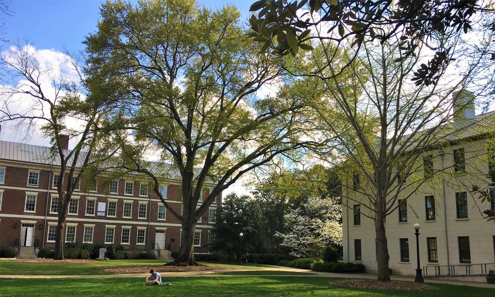 The oak-shaded North Campus quad in Athens: Rockstarr Media is casting new faces in Athens