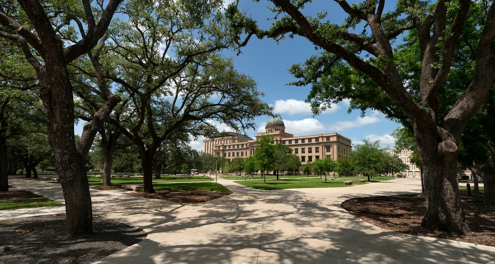 The live oaks and academic building on the texas a&m campus: Rockstarr Media is casting new faces in College Station