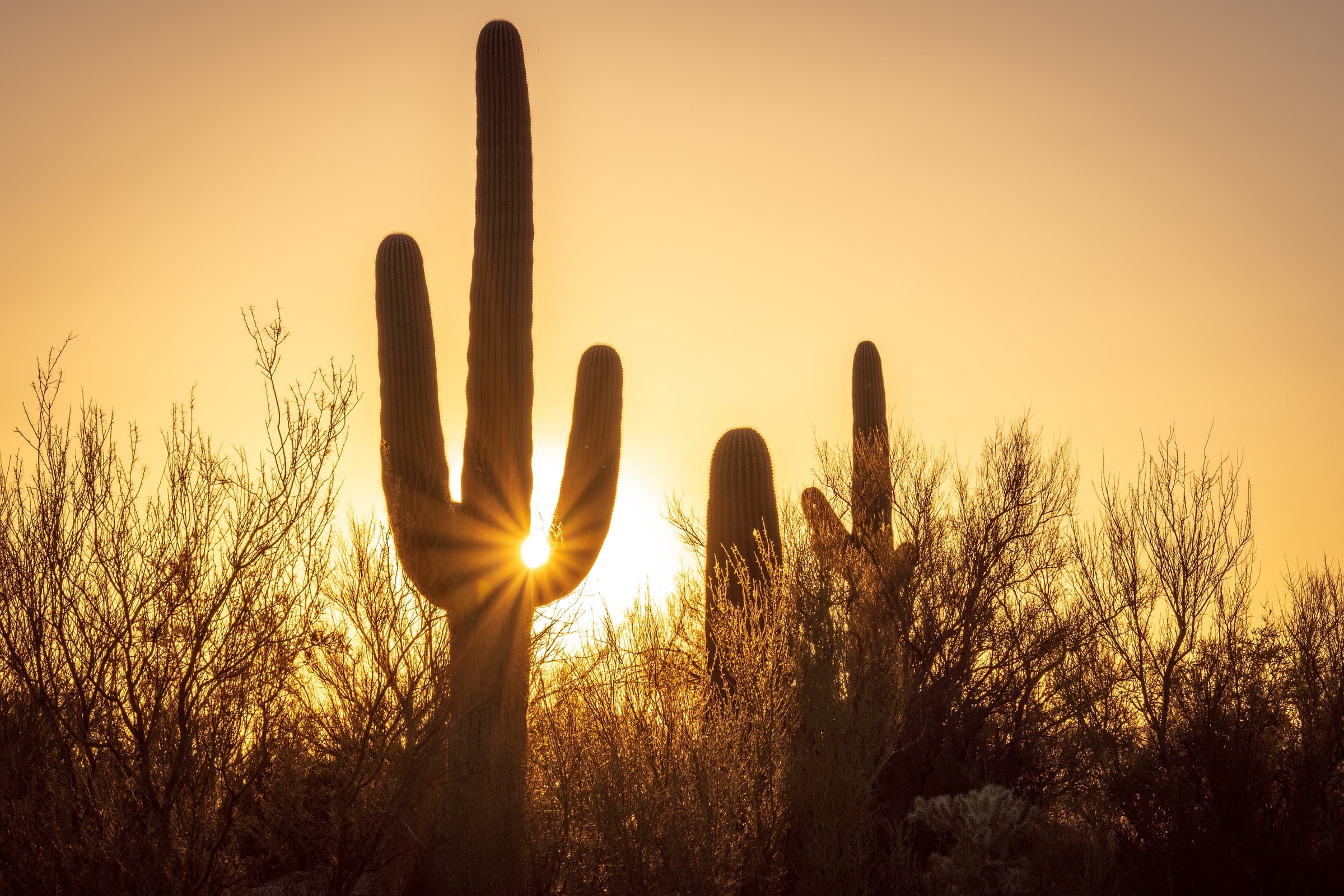 Tucson, Arizona